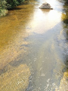 120728朝霧湖
