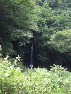 120728朝霧湖