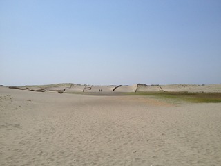 竜洋海洋公園