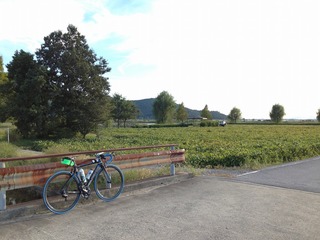1309129自転車部ビワイチIMG_8810.jpg