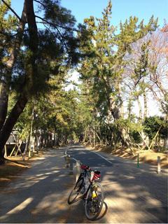 本宿ポタリング