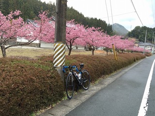 ALIZE in 佐久間ダム・大島ダム