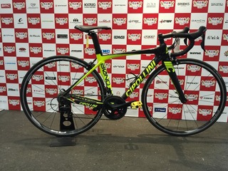 CIPOLLINI BOND
