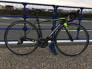 GUERCIOTTI SX50