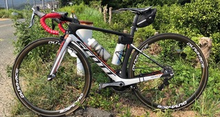 SCOTT FOIL