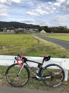 SCOTT FOILでハマイチ