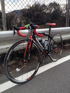 TCR ADVANCED SE