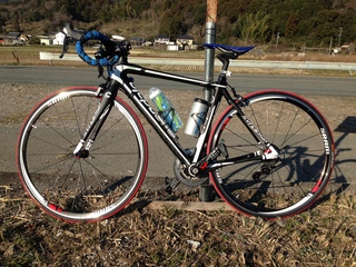 CANNONDALE SYNAPSE