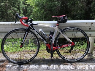 新城市海老
