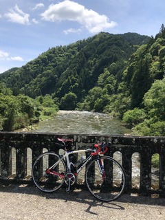 新城市海老
