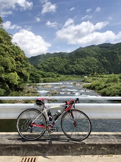 新城市海老