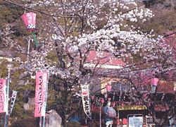 momotoaroujinja.jpg